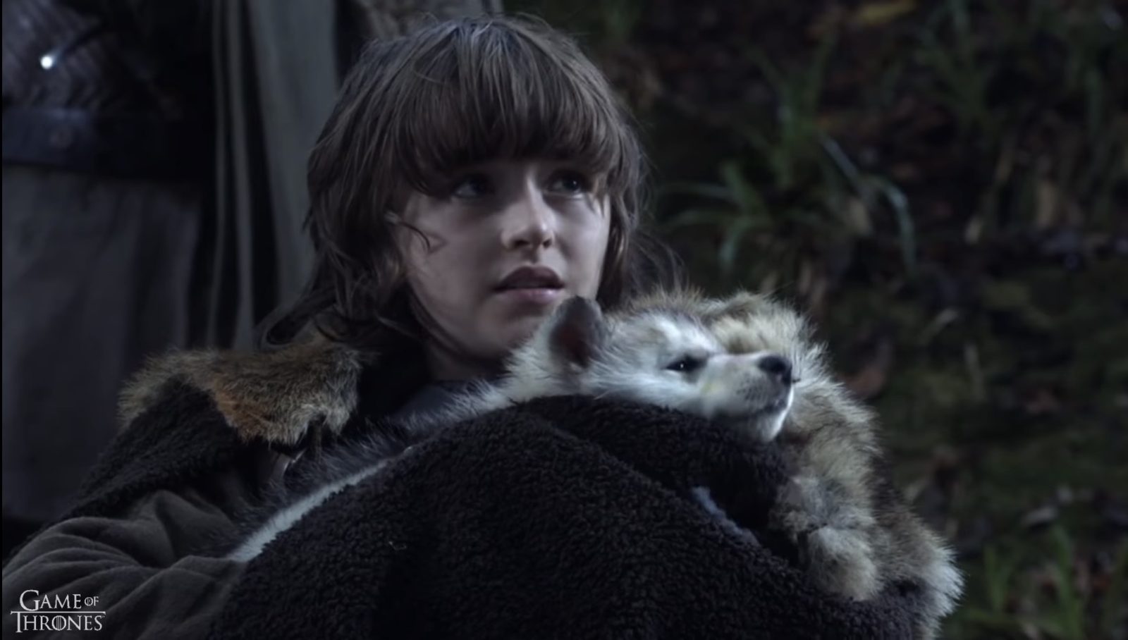 Bran e seu filhote de lobo